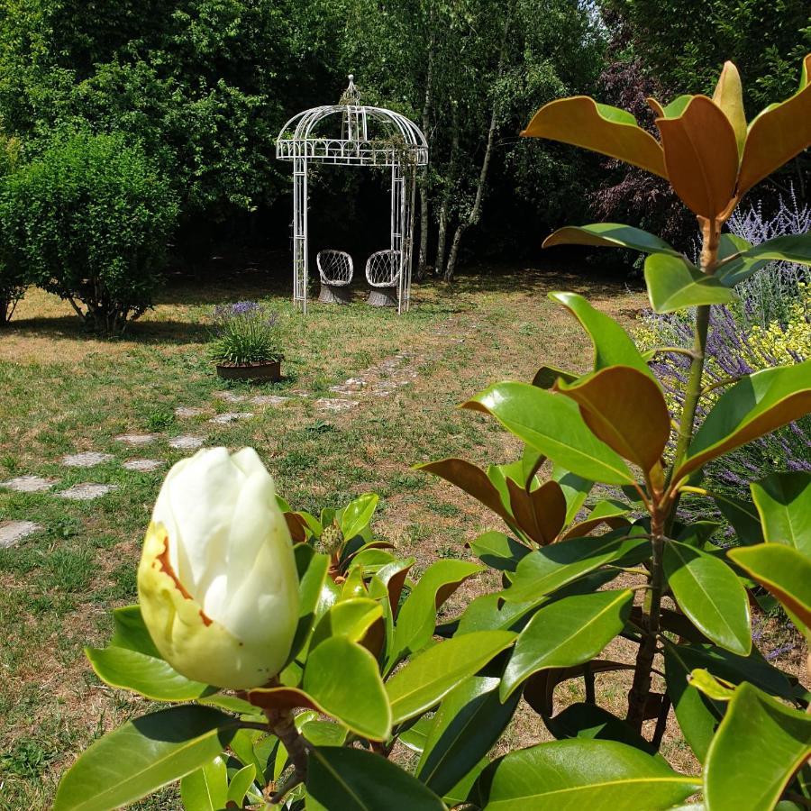 La Maison Des Thermes, Chambre D'Hote Saintes Zewnętrze zdjęcie
